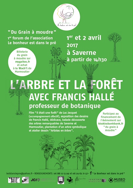 L'arbre et la forêt avec Francis Hallé