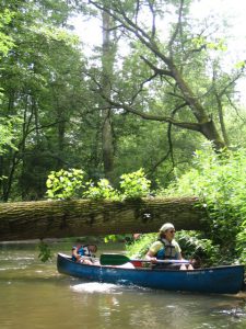 sortie nature en canoë - « L’Ill au fil de l’eau » @ Strasbourg-de la Robertsau à La Wantzenau