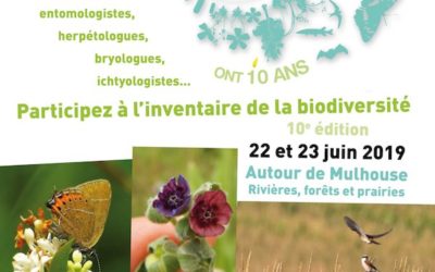 Les 22 et 23 juin : Participez aux 24H de la biodiversité !