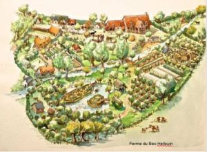 Projection débat : "La permaculture ou comment marier production alimentaire et biodiversité » @ médiathèque du Kochersberg | Truchtersheim | Grand Est | France