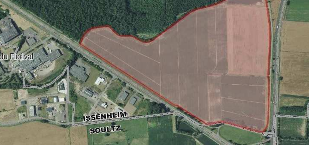 Projet de ZAC à Issenheim : les associations demandent la suspension