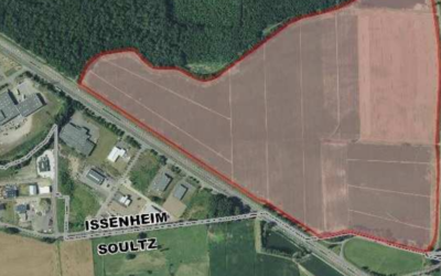 Projet de ZAC à Issenheim : les associations demandent la suspension