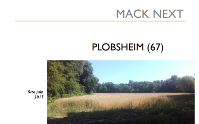 Contribuez à l’enquête publique sur le projet MackNext de Plobsheim (jusqu’au 30 avril)