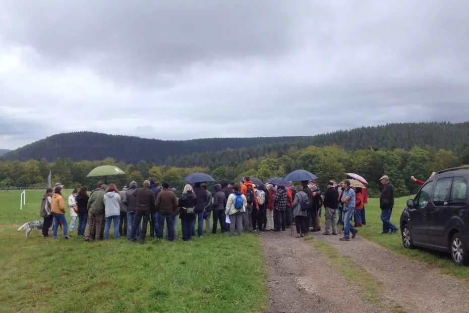 [Mobilisation] Retour sur la sortie sur le projet de trail center à Wangenbourg et pétition