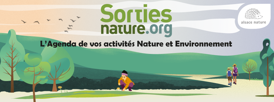 Découvrez SortiesNature.org : l’agenda de toutes vos activités nature et environnement