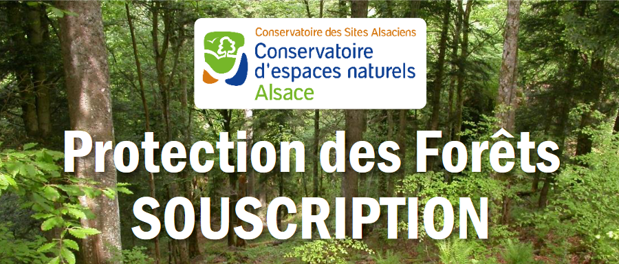 Le conservatoire des espaces naturels alsaciens lance une souscription pour la protection des forêts