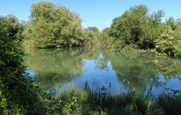 Alsace Nature en alerte sur le projet d’ouverture à la navigation de plaisance d’un tronçon du canal du Rhône au Rhin