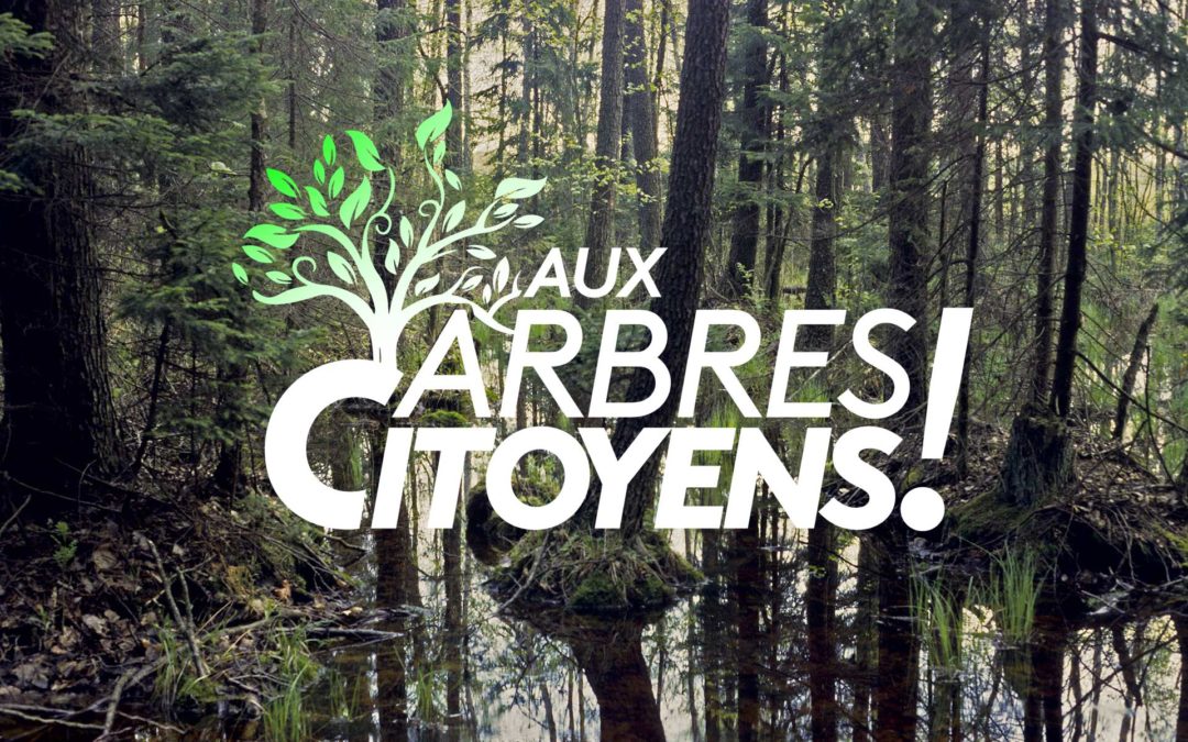 « Aux Arbres Citoyens ! » FNE et France Télévisions se mobilisent pour la forêt le 8 novembre 2022