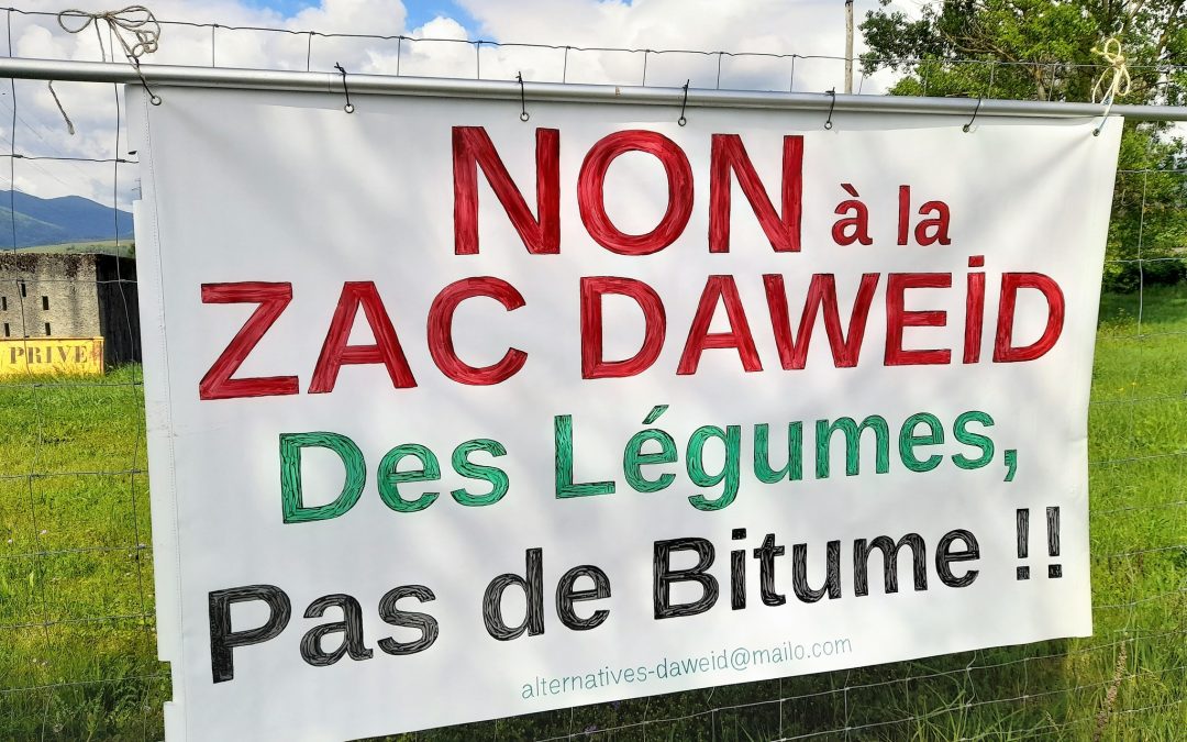ZAC Daweid : un pique-nique militant pour dire non au bitume !