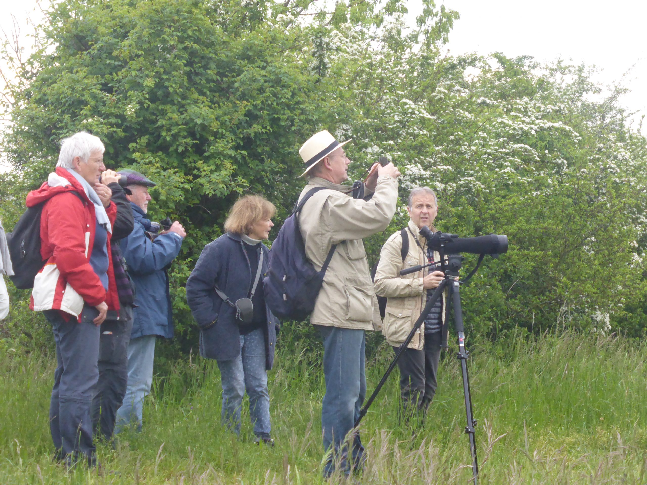 Retour sur la sortie Nature au Goeftberg du 14 mai 2023