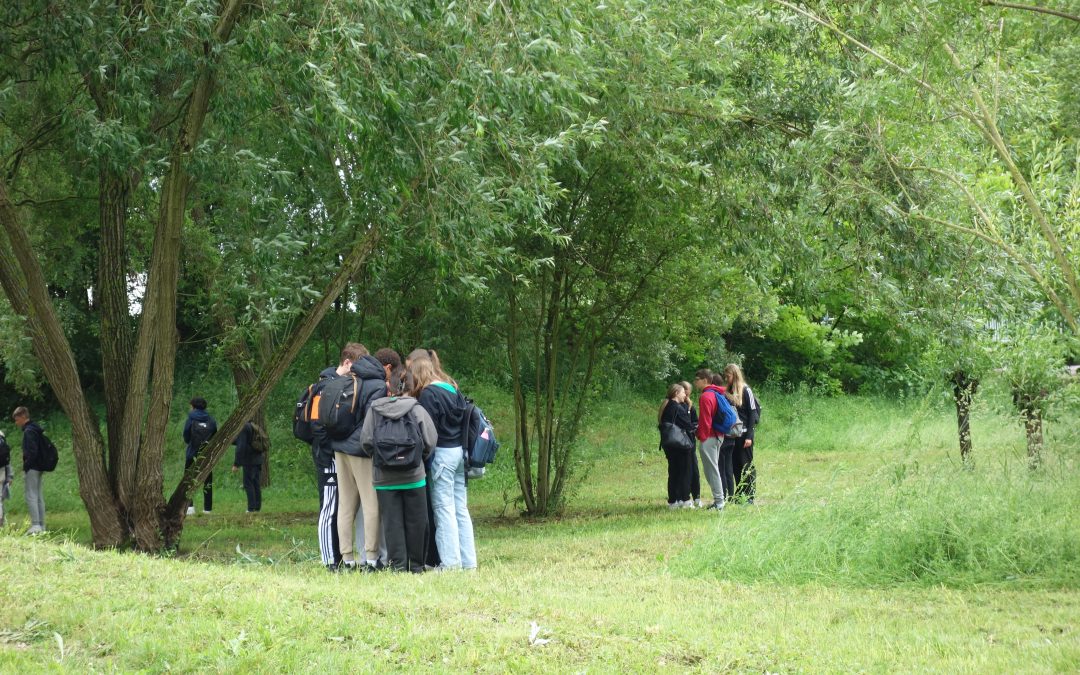 Décathlon de la citoyenneté : Alsace Nature fait plancher 1900 élèves sur la Nature