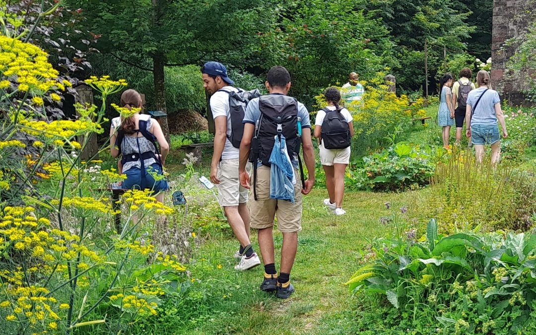 Retour sur les animations estivales du groupe local Florival au Jardin Médiéval de Murbach