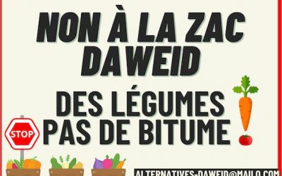 [Mobilisation] 12 nov. 2024 : NON à la ZAC Daweid !