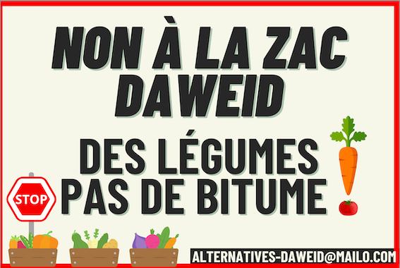 [Mobilisation] 12 nov. 2024 : NON à la ZAC Daweid !