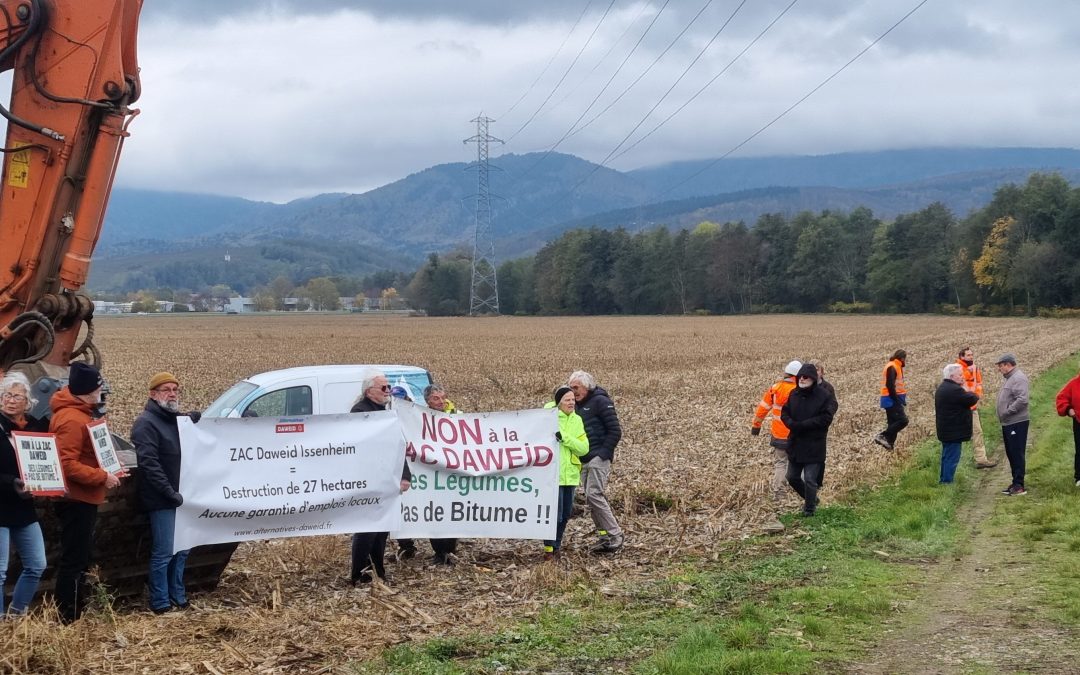 Florival : Mobilisation au Daweid pour l’ouverture de la COP 29