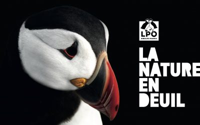 [Mobilisation] La nature en deuil – jeudi 13 mars 12h – Strasbourg