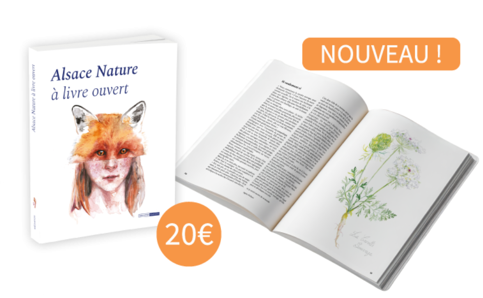 [Parution] Commandez notre nouveau livre « Alsace Nature à livre ouvert » édité pour les 60 ans d’Alsace Nature