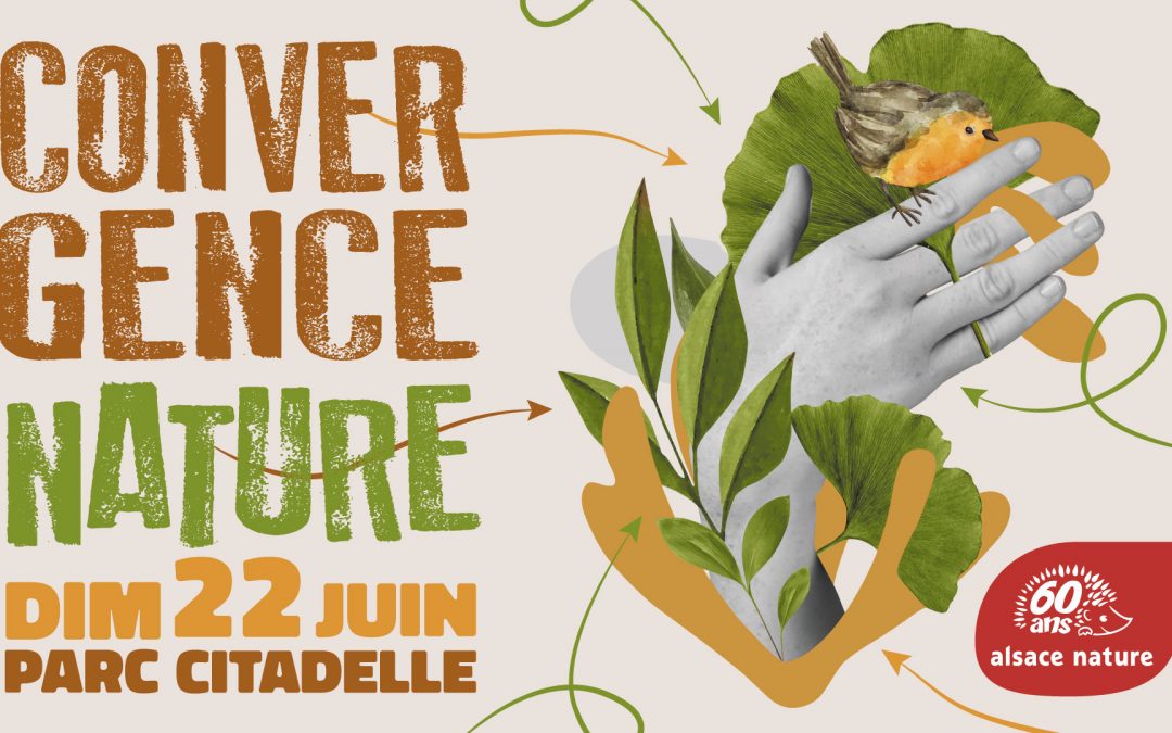 CONVERGENCE NATURE : une journée festive pour tous au parc Citadelle de Strasbourg