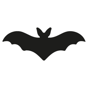 Chauves-souris