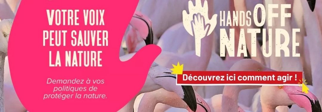 Sauvons le droit de l’environnement européen !