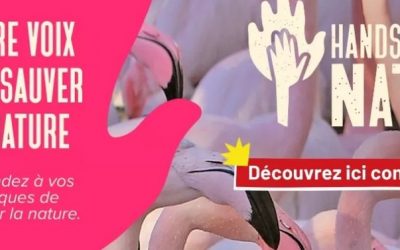 Sauvons le droit de l’environnement européen !