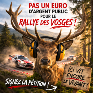 Rallye des Vosges-pétition