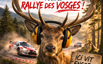 Pétition : Pas un euro d’argent public pour le Rallye des Vosges !