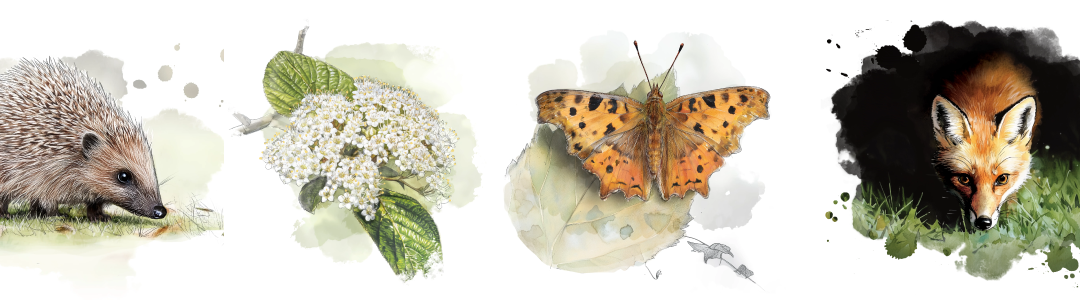 Assemblées Générale 2026