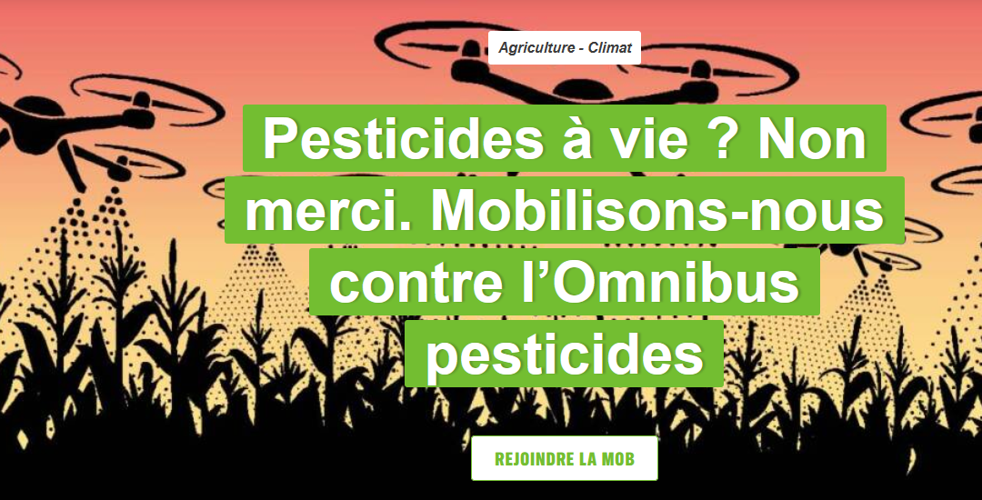 Mobilisation contre la loi Omnibus* pesticides : non à la dérégulation dans l’Union Européenne !